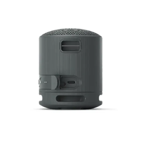 Sony Wireless Bluetooth Speaker (SRS-XB100)