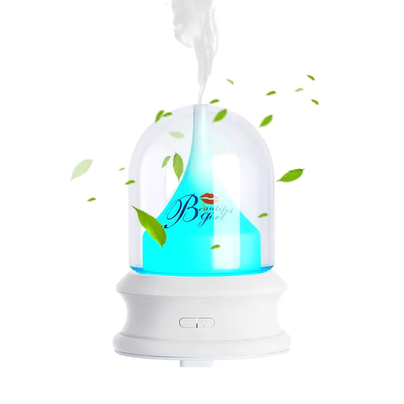 Aroma Diffusuer of Streamer Bottle - Price in Bangladesh