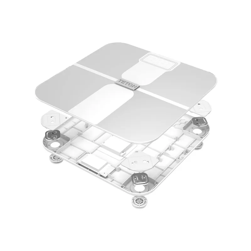 Teton Smart Weight Scale (TSSHW01) - Price in Bangladesh