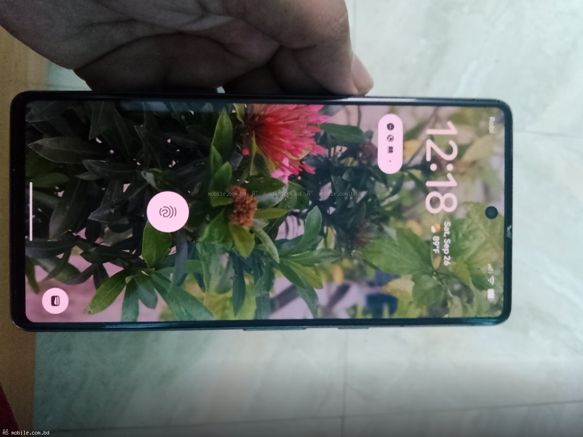 google Pixel 7